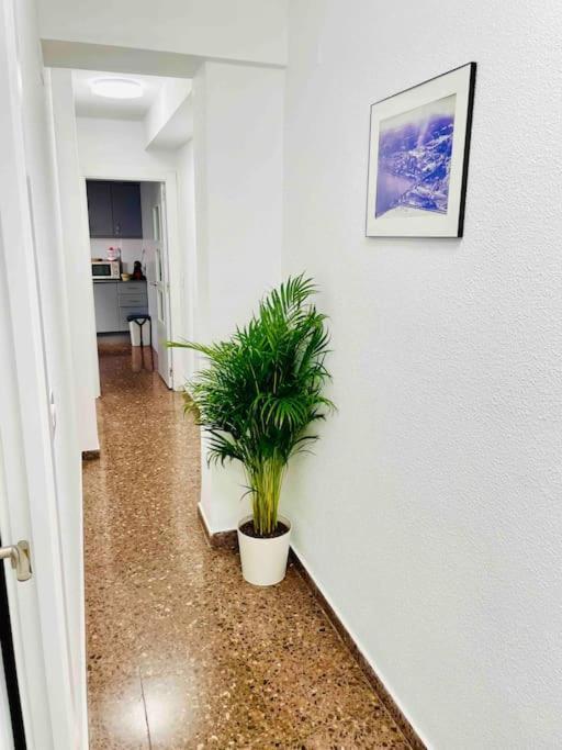 Citadella Apartment Puerto de Sagunto Exterior photo